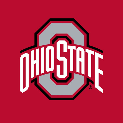 Ohio State Custom Jersey